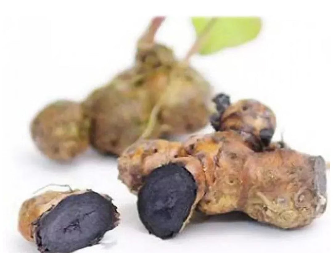 VIDHAN ART Kali Haldi - 2 Piece